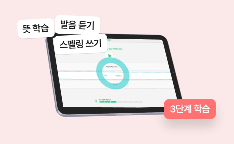영어 단어 학습 화면